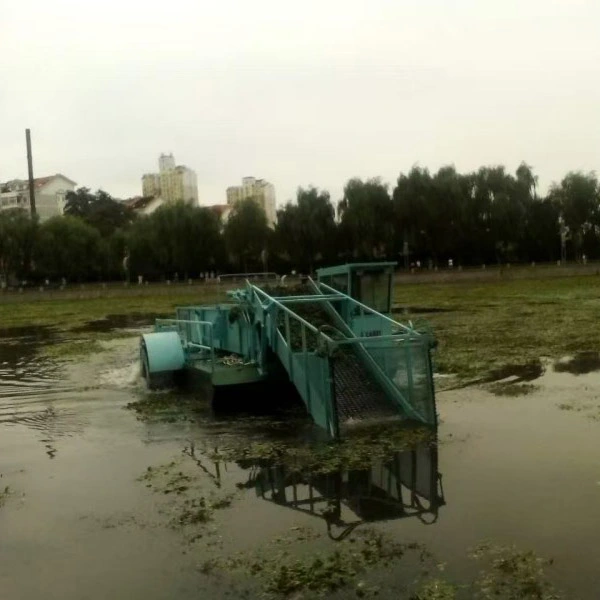 মাল্টিফাংশনাল স্যালভেজ ভেসেল